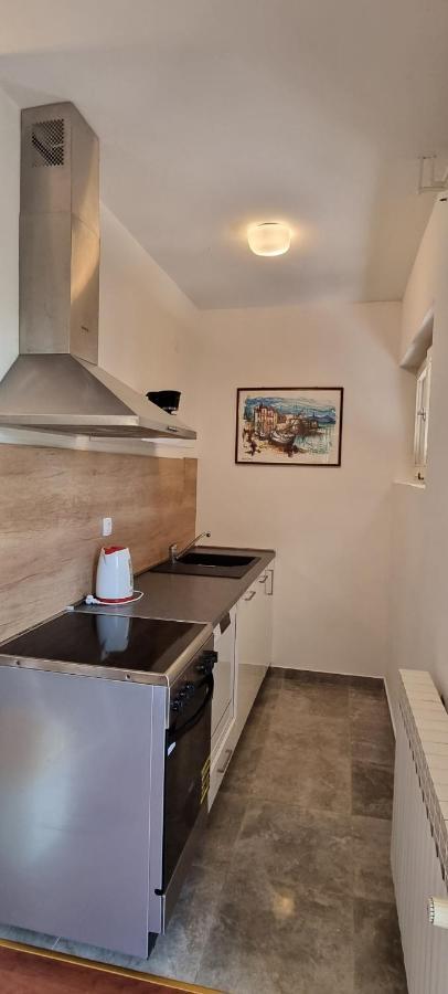 Apartment Palatisa Kožino エクステリア 写真