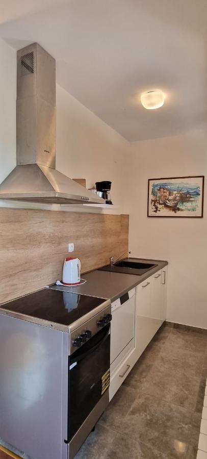 Apartment Palatisa Kožino エクステリア 写真
