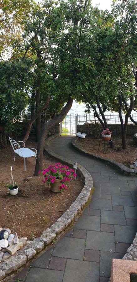 Apartment Palatisa Kožino エクステリア 写真